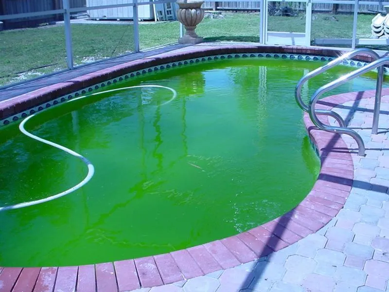 algae-removal-in-San-Antonio_11zon