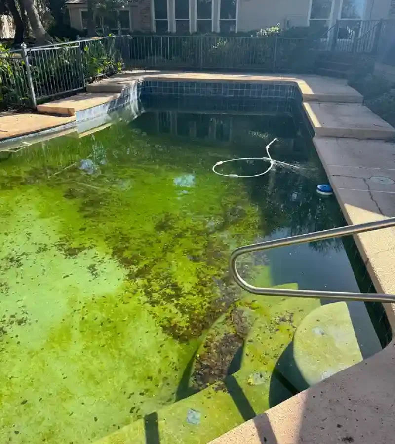 algae-stain-removal-pool-in-san-antonio